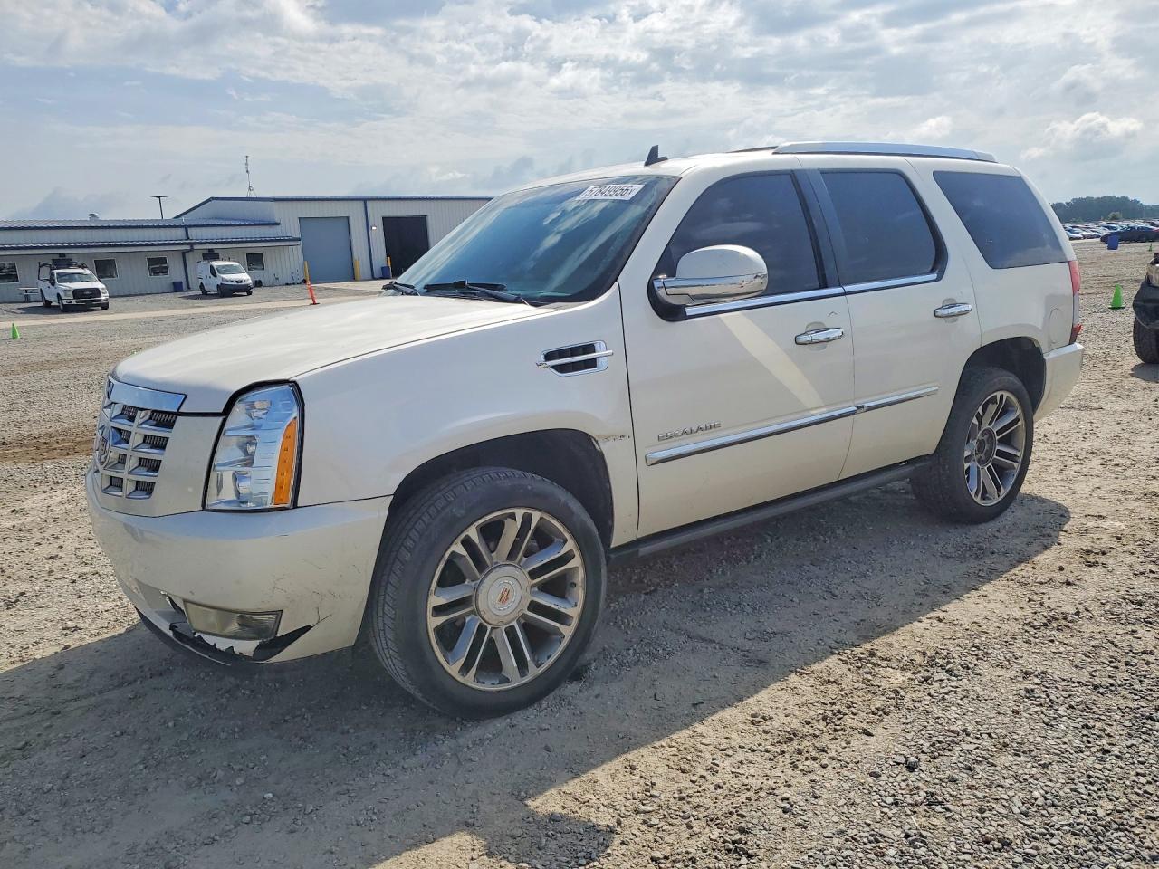 2012 Cadillac Escalade Luxury Beige vin: 1GYS3BEF3CR321291