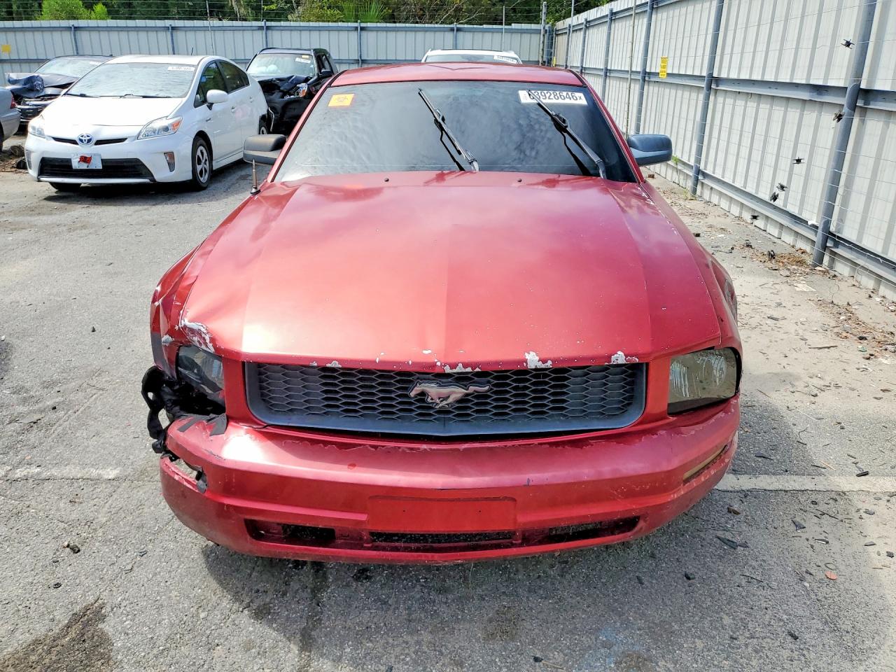 2005 Ford Mustang Red vin: 1ZVFT80N455157405
