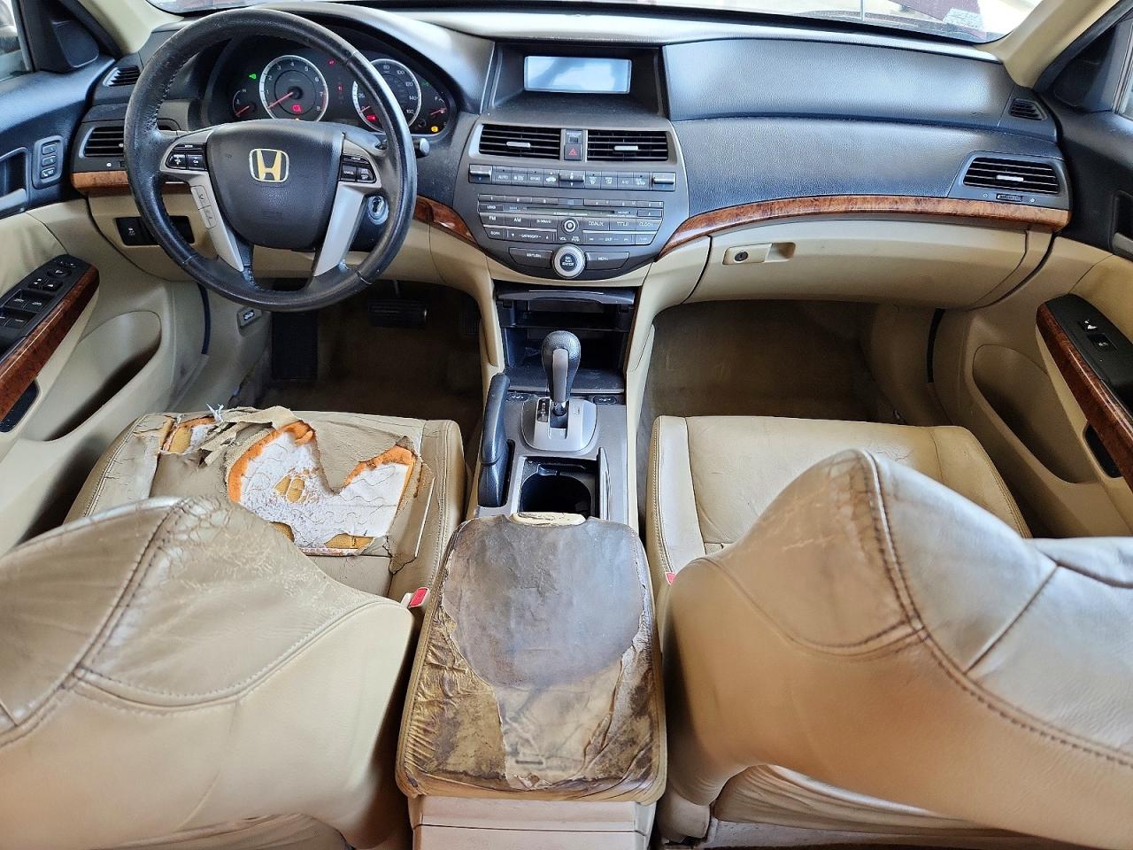 2011 Honda Accord Exl Burgundy vin: 1HGCP3F8XBA021797