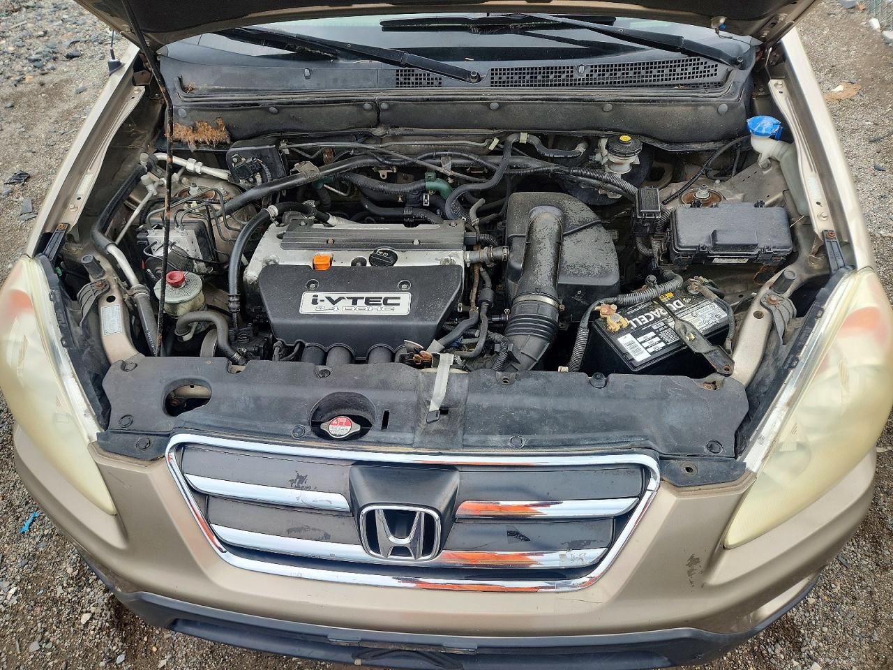 2006 Honda Cr-v Se Gold vin: SHSRD78976U422258