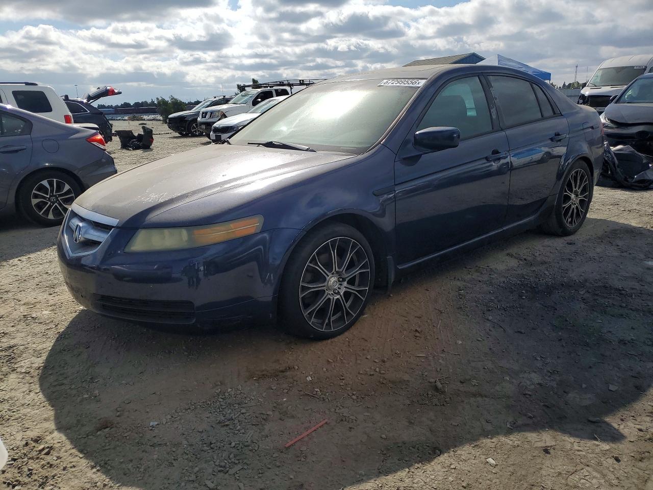 2004 Acura Tl Blue vin: 19UUA66214A070053