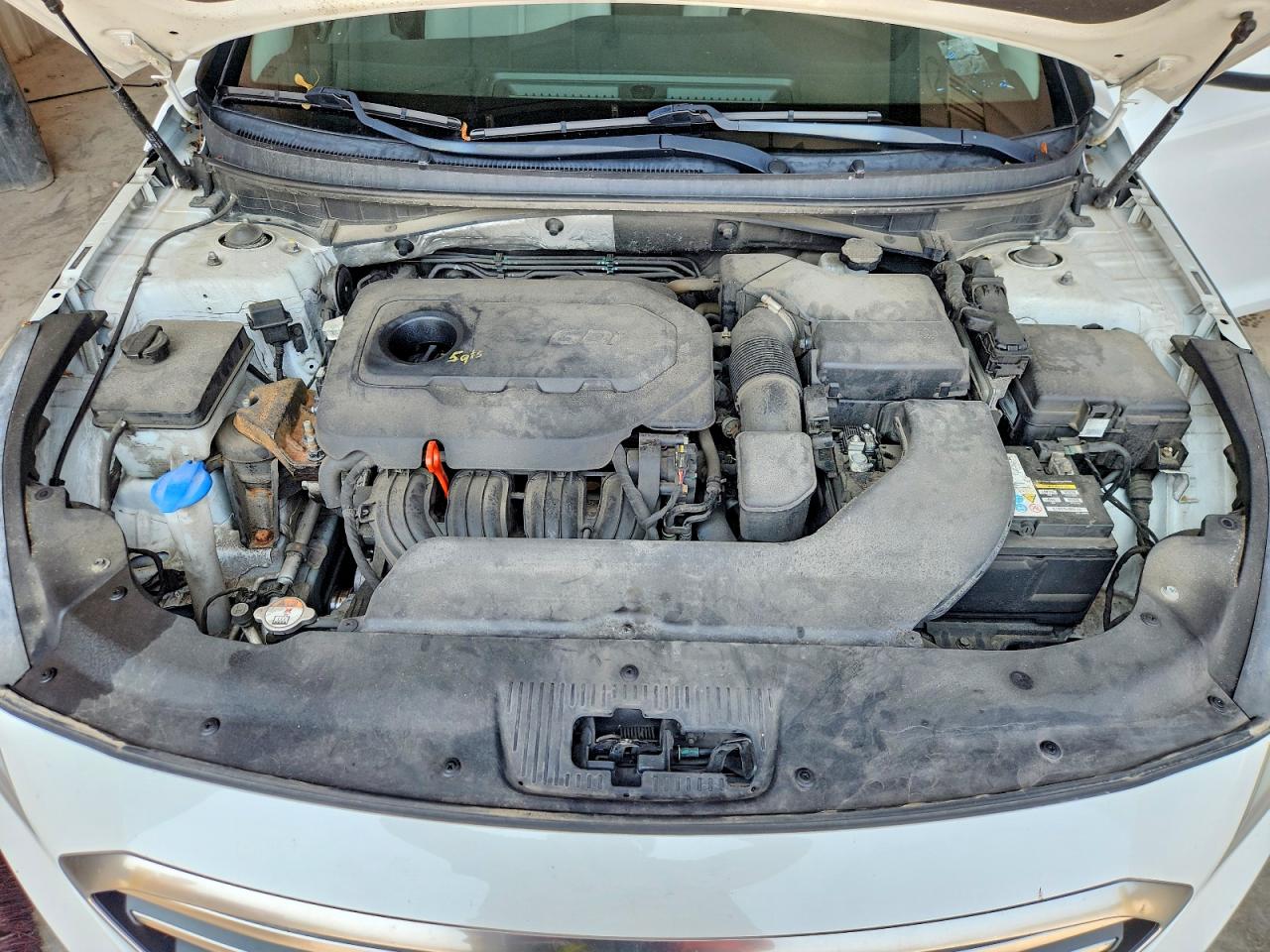 2015 Hyundai Sonata Se White vin: 5NPE24AF8FH188434