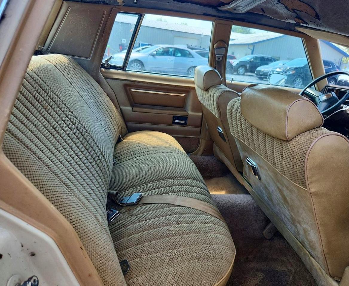 1982 Chevrolet Malibu Classic Бежевый vin: 1G1AW69K8CB175379
