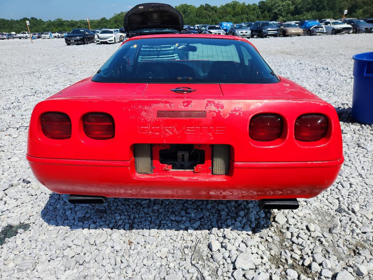 1996 Chevrolet Corvette Red vin: 1G1YY22P7T5100193