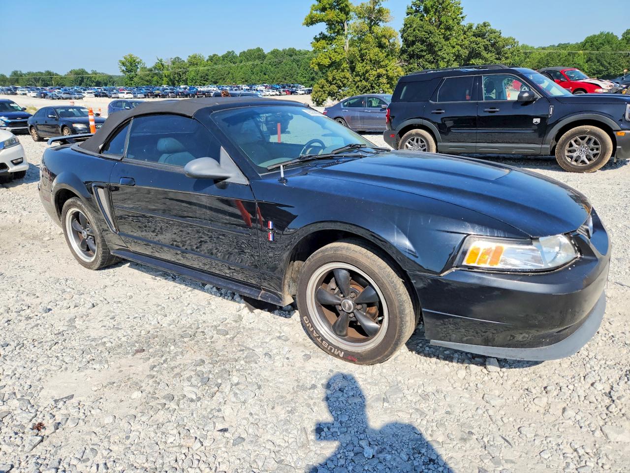 2003 Ford Mustang Black vin: 1FAFP44423F404970