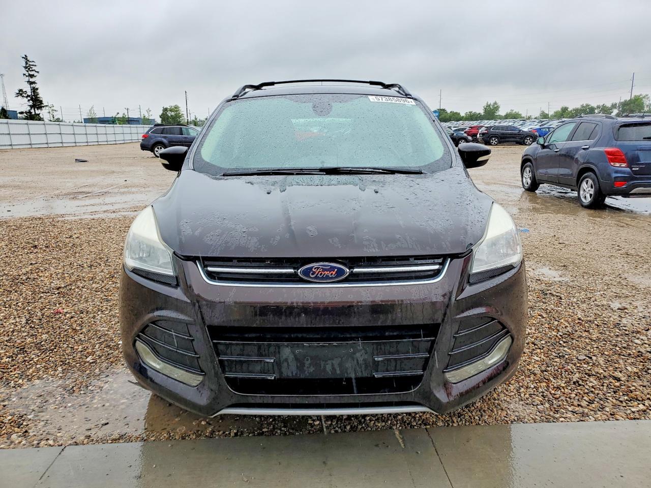 2013 Ford Escape Sel Brown vin: 1FMCU9HX0DUB21547
