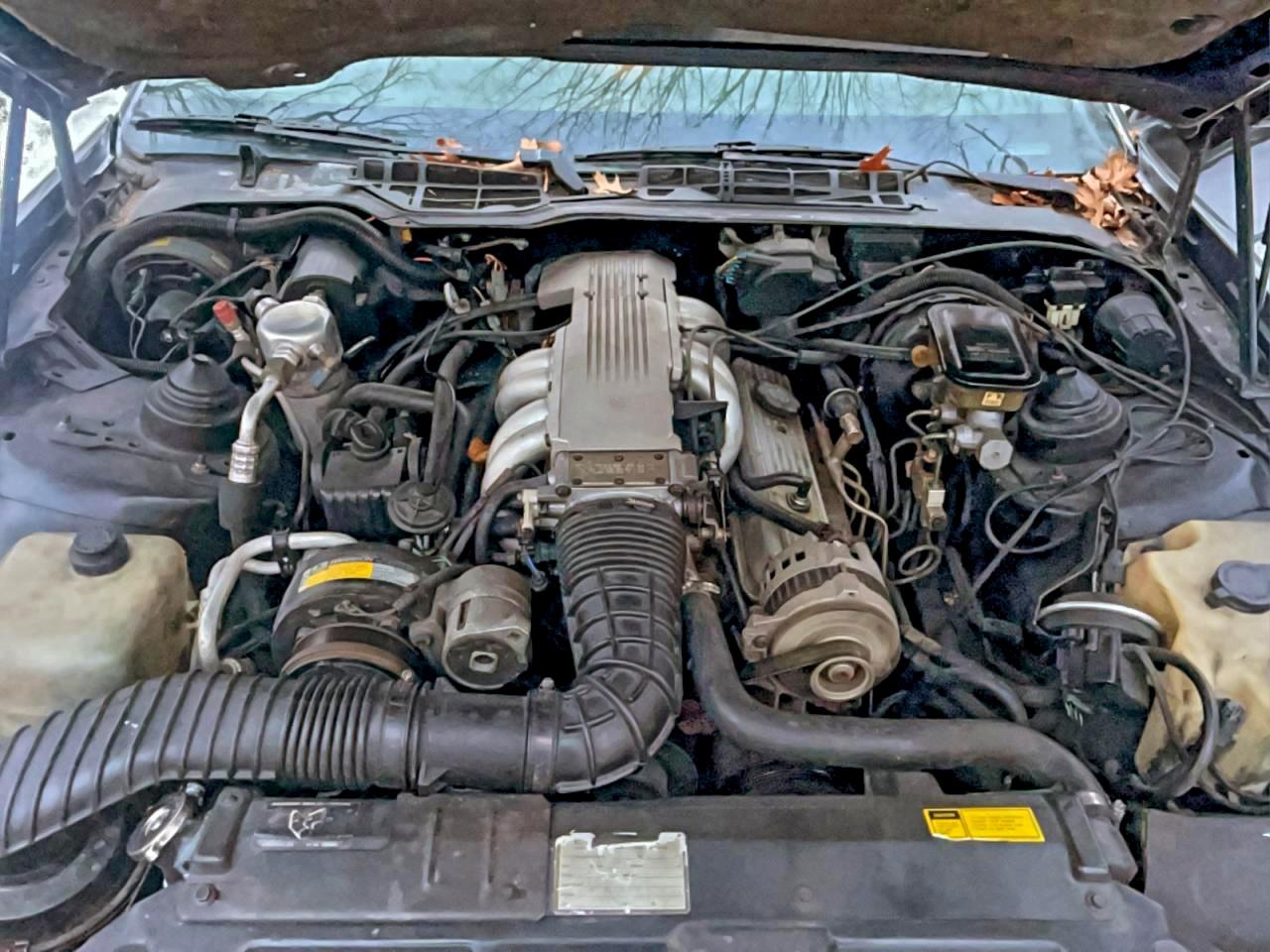 1988 Pontiac Firebird Trans Am Black vin: 1G2FW218XJL246566