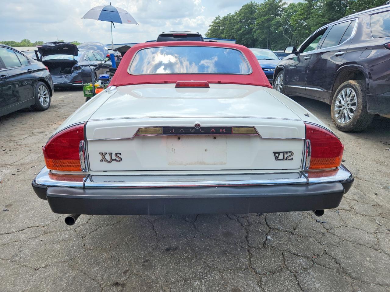 1989 Jaguar Xjs Белый vin: SAJNV4840KC162400