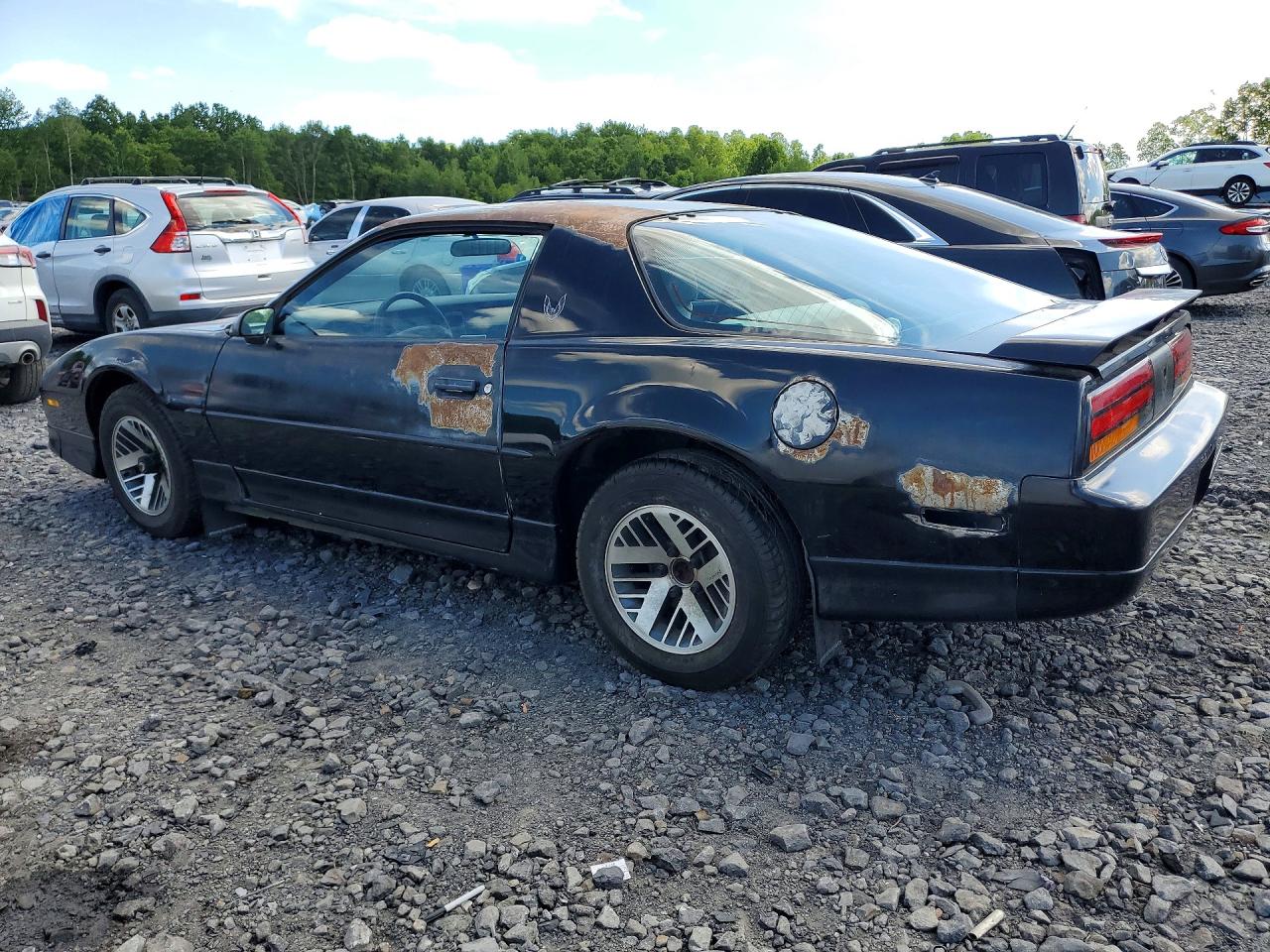 1990 Pontiac Firebird Black vin: 1G2FS23T1LL207221