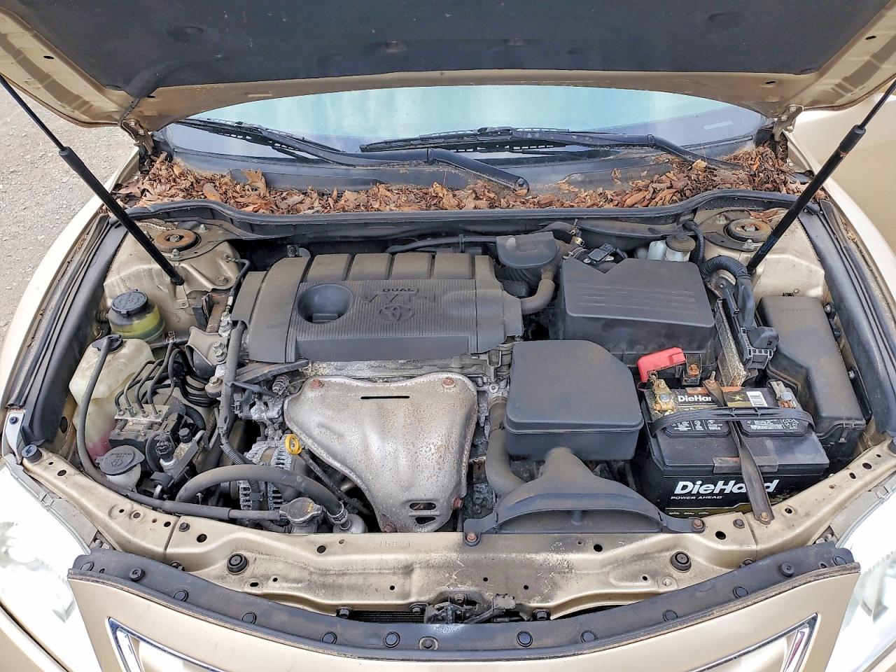 2011 Toyota Camry Le Gold vin: 4T1BF3EK6BU224254