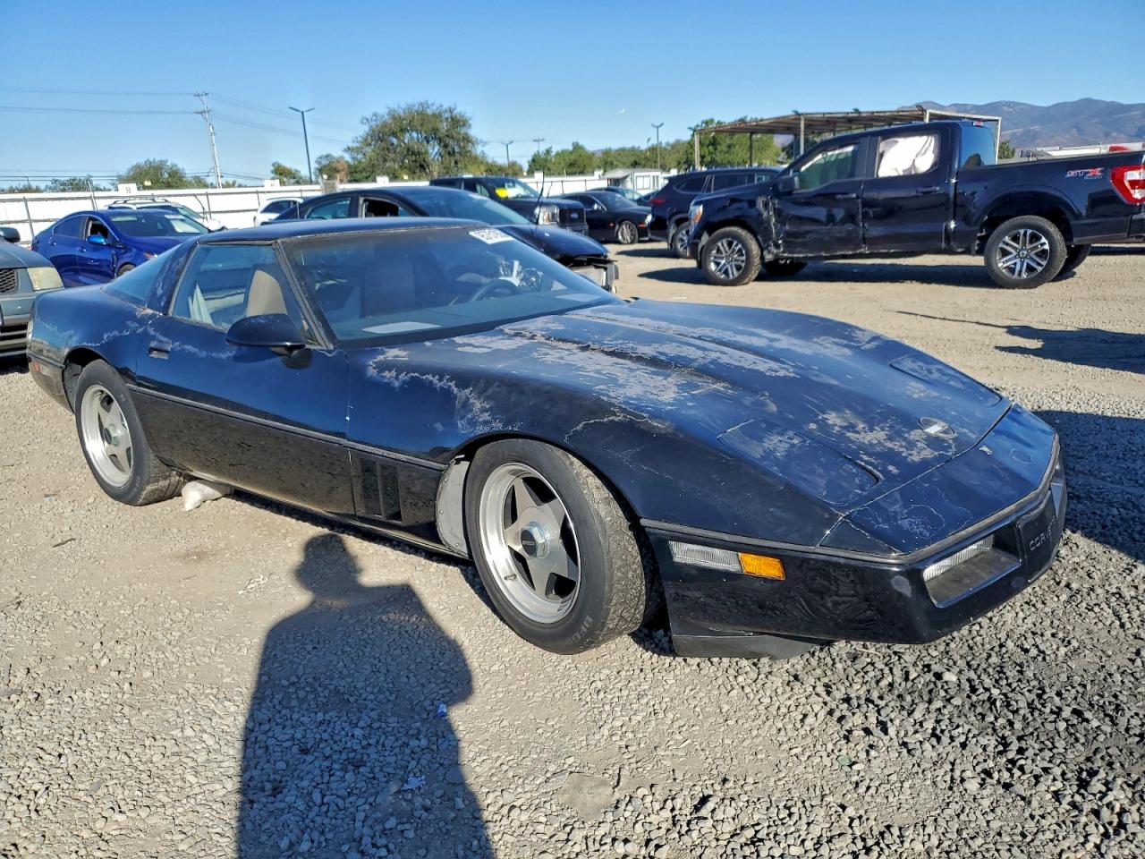 1984 Chevrolet Corvette Black vin: 1G1AY0781E5139811