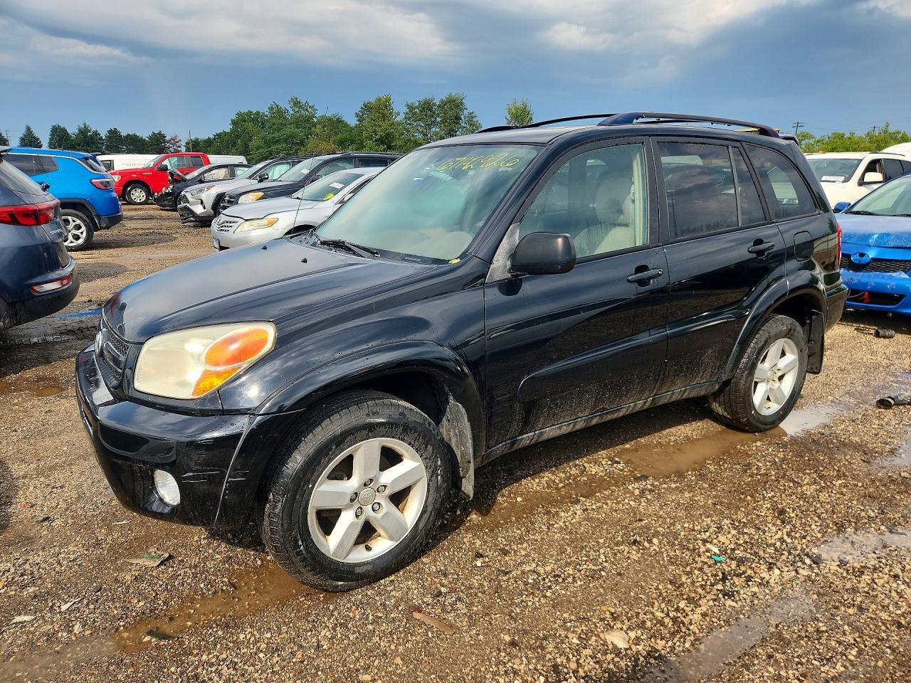 2004 Toyota Rav4 Base Black vin: JTEHD20V846017853