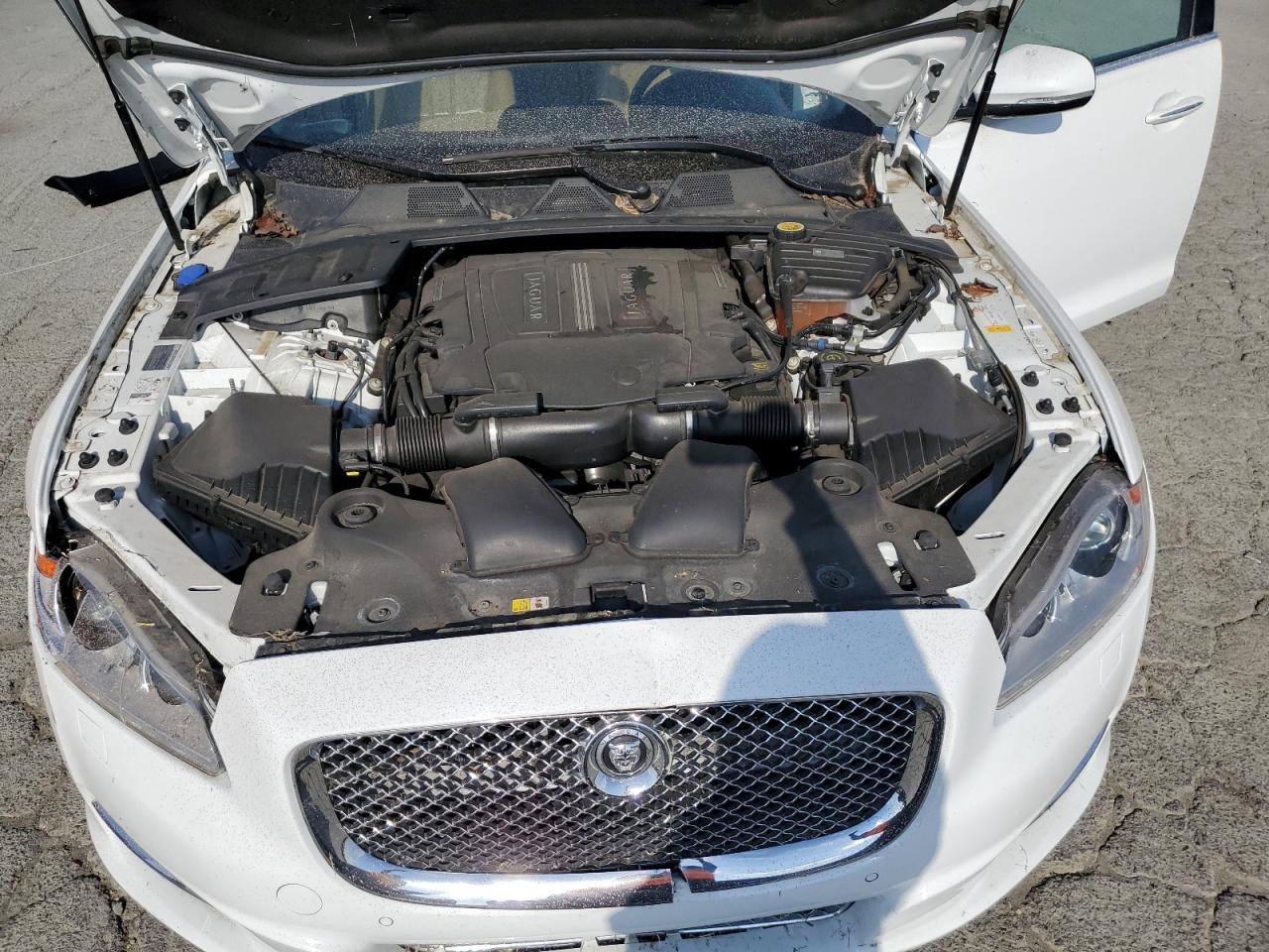 2013 Jaguar Xj White vin: SAJWA1C75D8V55556