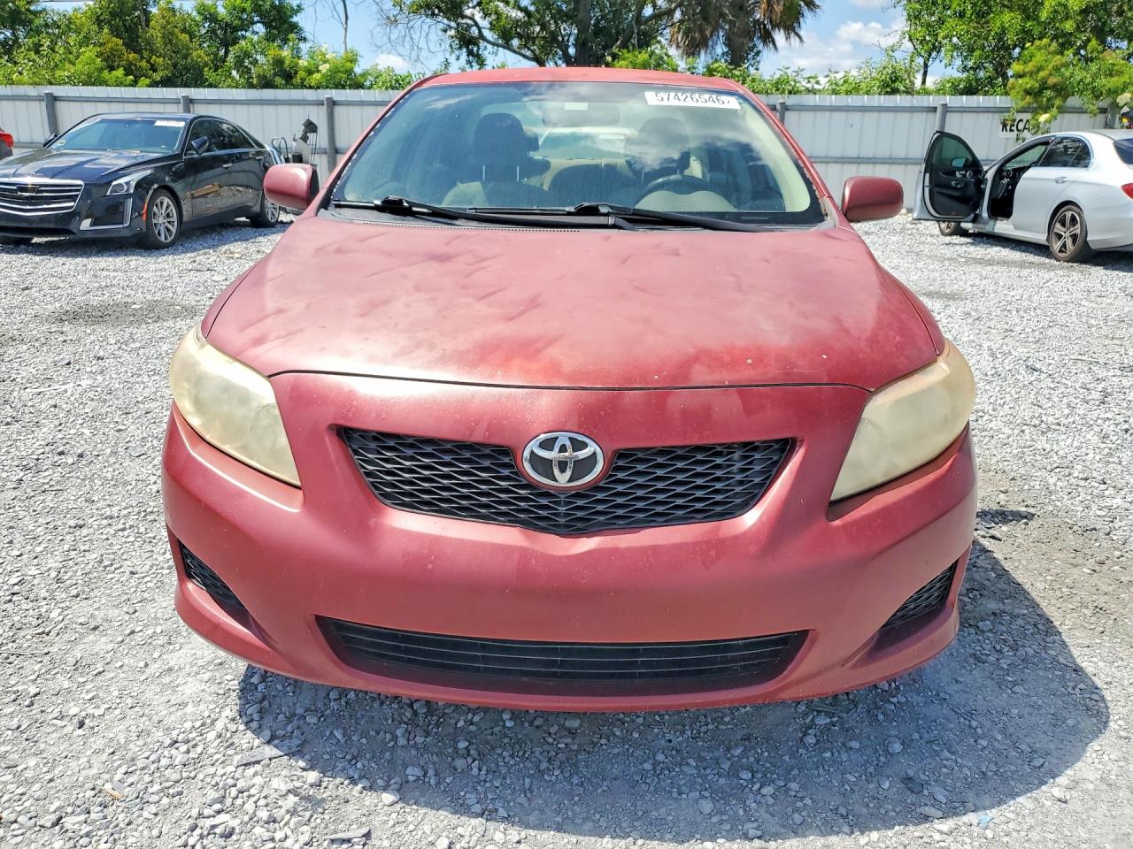 2009 Toyota Corolla Le Red vin: JTDBL40E499034910