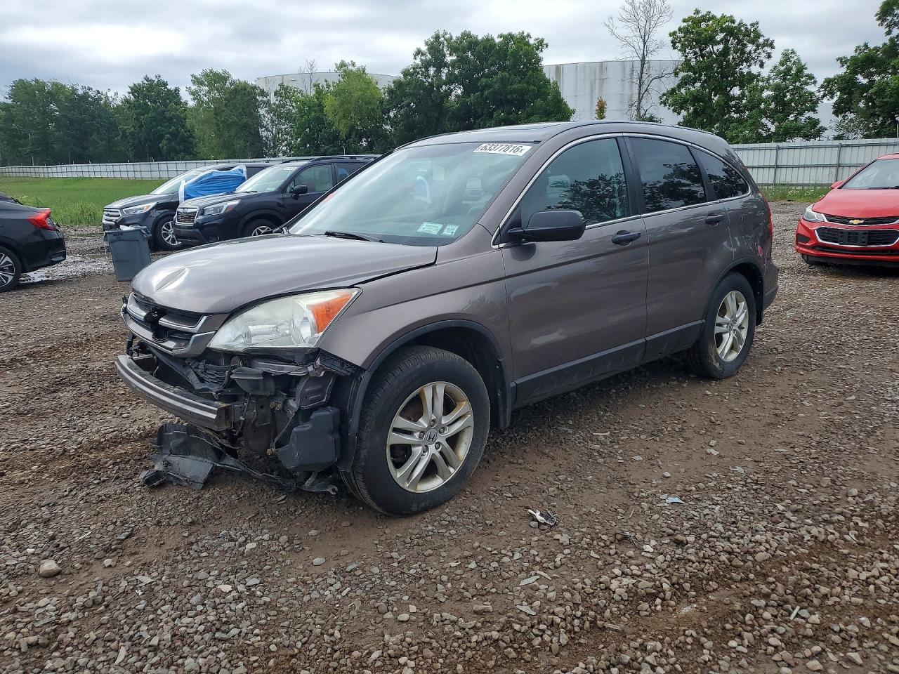 2010 Honda Cr-v Tan vin: 5J6RE4H59AL076651