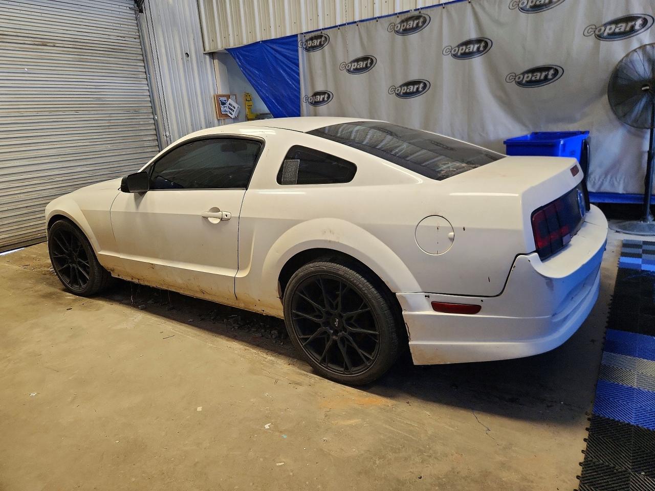 2005 Ford Mustang White vin: 1ZVFT80N155152369