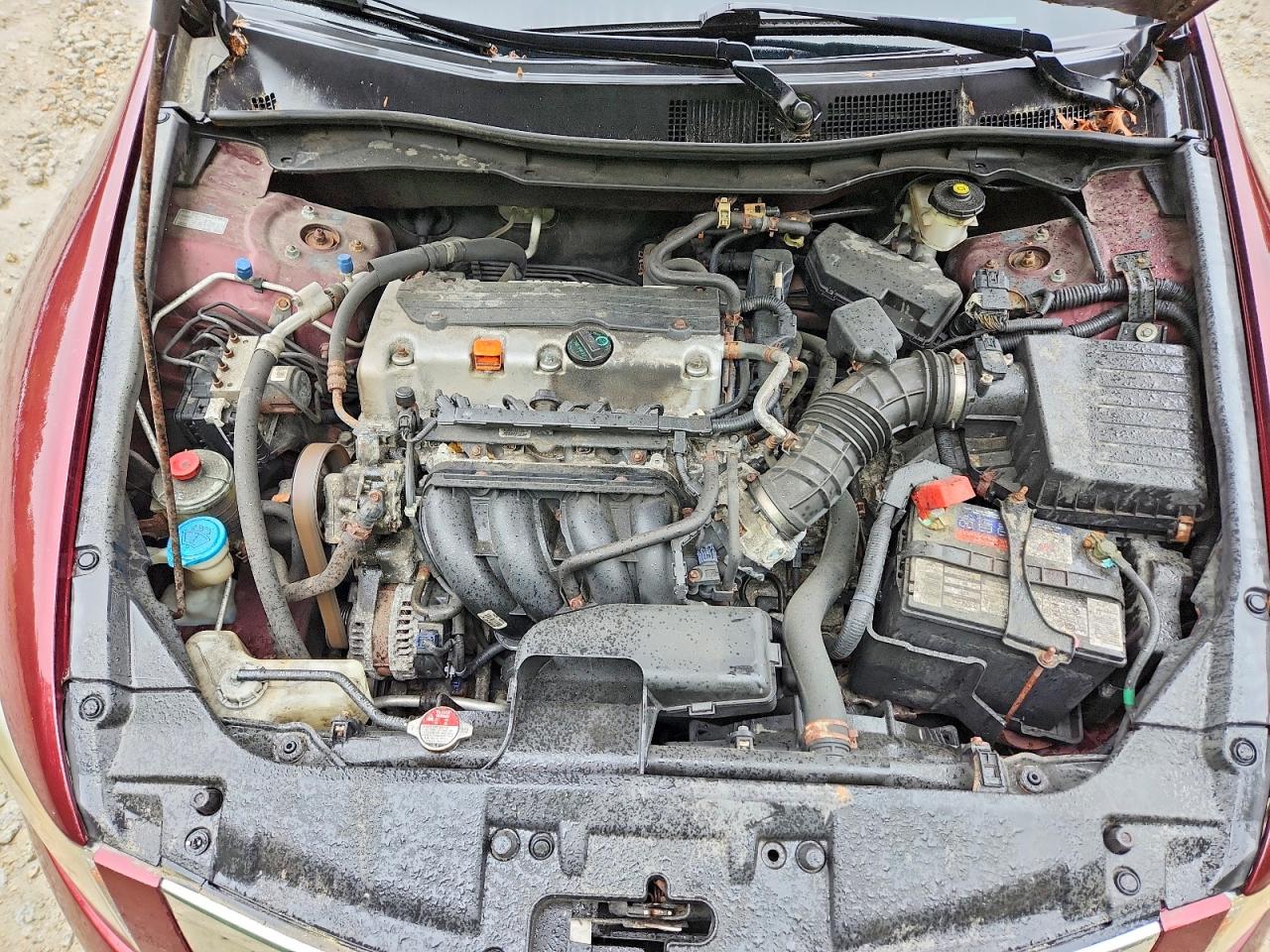 2010 Honda Accord Lx Красный vin: 1HGCP2F32AA042589