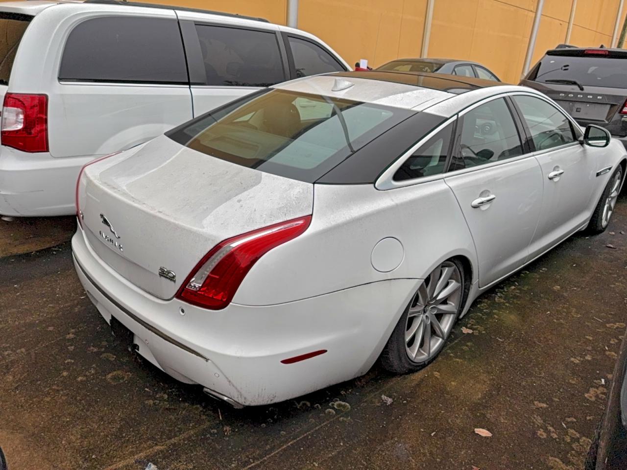 2013 Jaguar Xj Белый vin: SAJWJ1CD7D8V49599