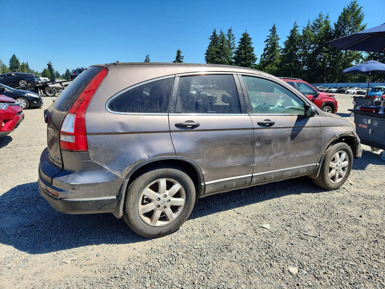 2011 Honda Cr-v Se Gray vin: 5J6RE4H46BL070010