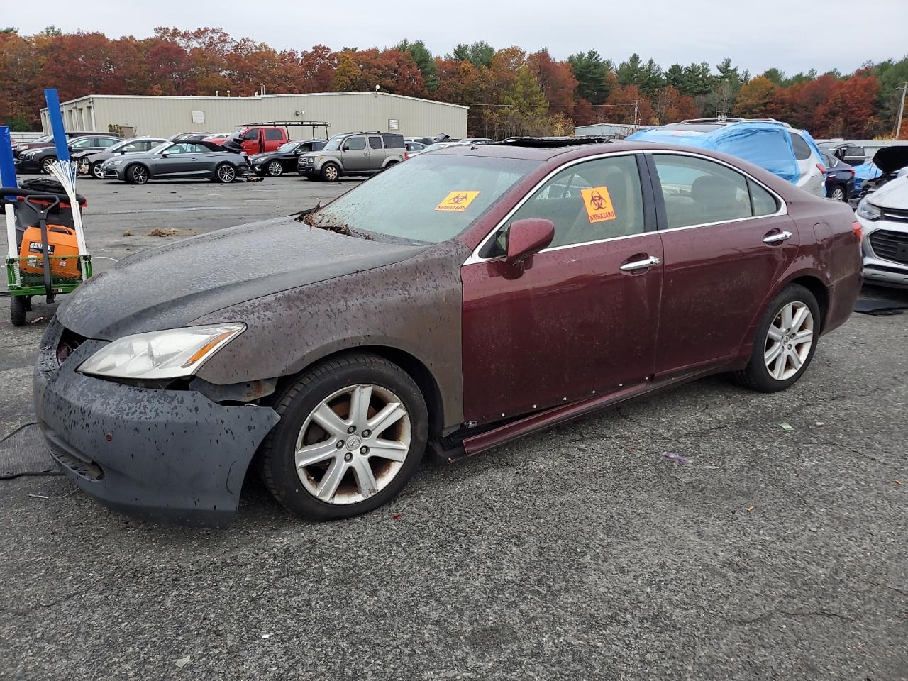 2008 Lexus Es 350 Бордовый vin: JTHBJ46G582182259