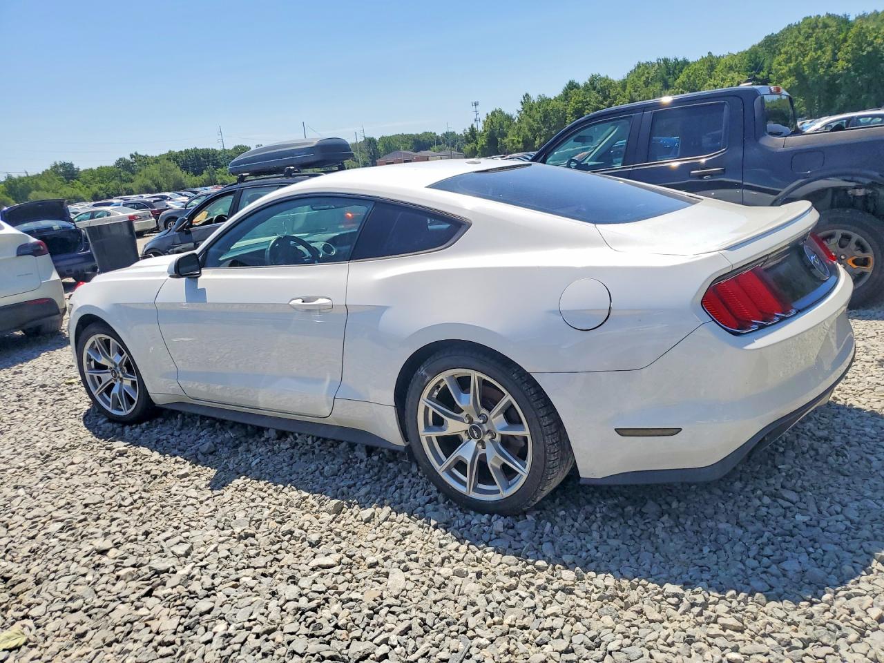 2015 Ford Mustang White vin: 1FA6P8TH1F5310679