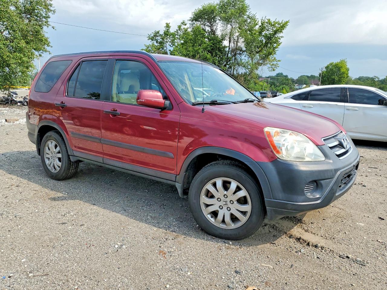 2005 Honda Cr-v Ex Red vin: SHSRD78845U329297
