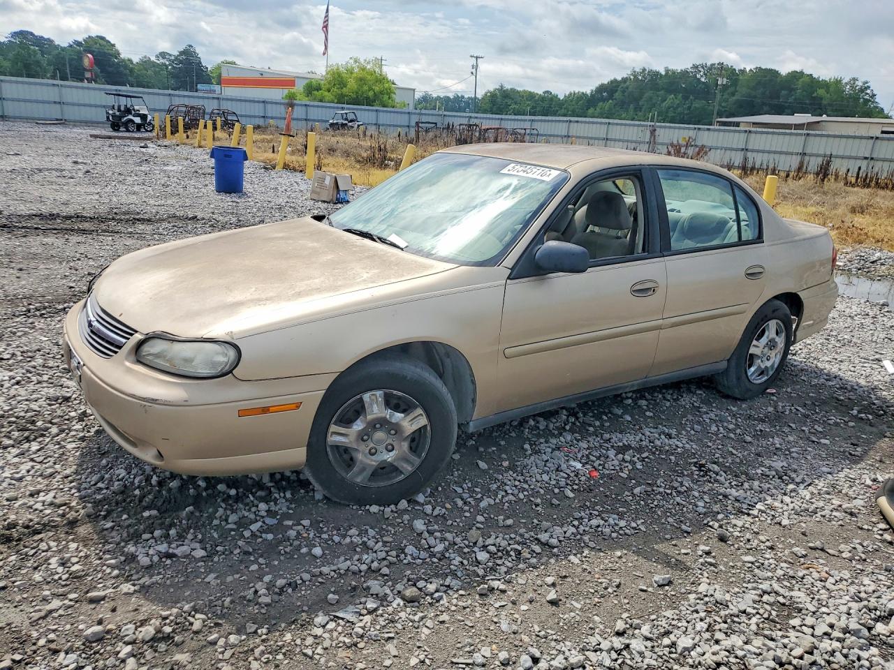 2003 Chevrolet Malibu Gold vin: 1G1ND52J13M617717