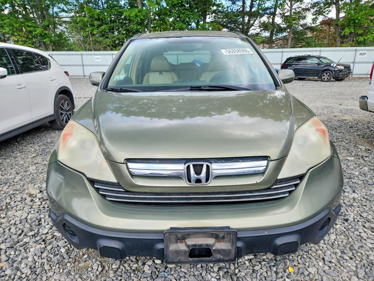 2008 Honda Cr-v Exl Green vin: 5J6RE48758L045280
