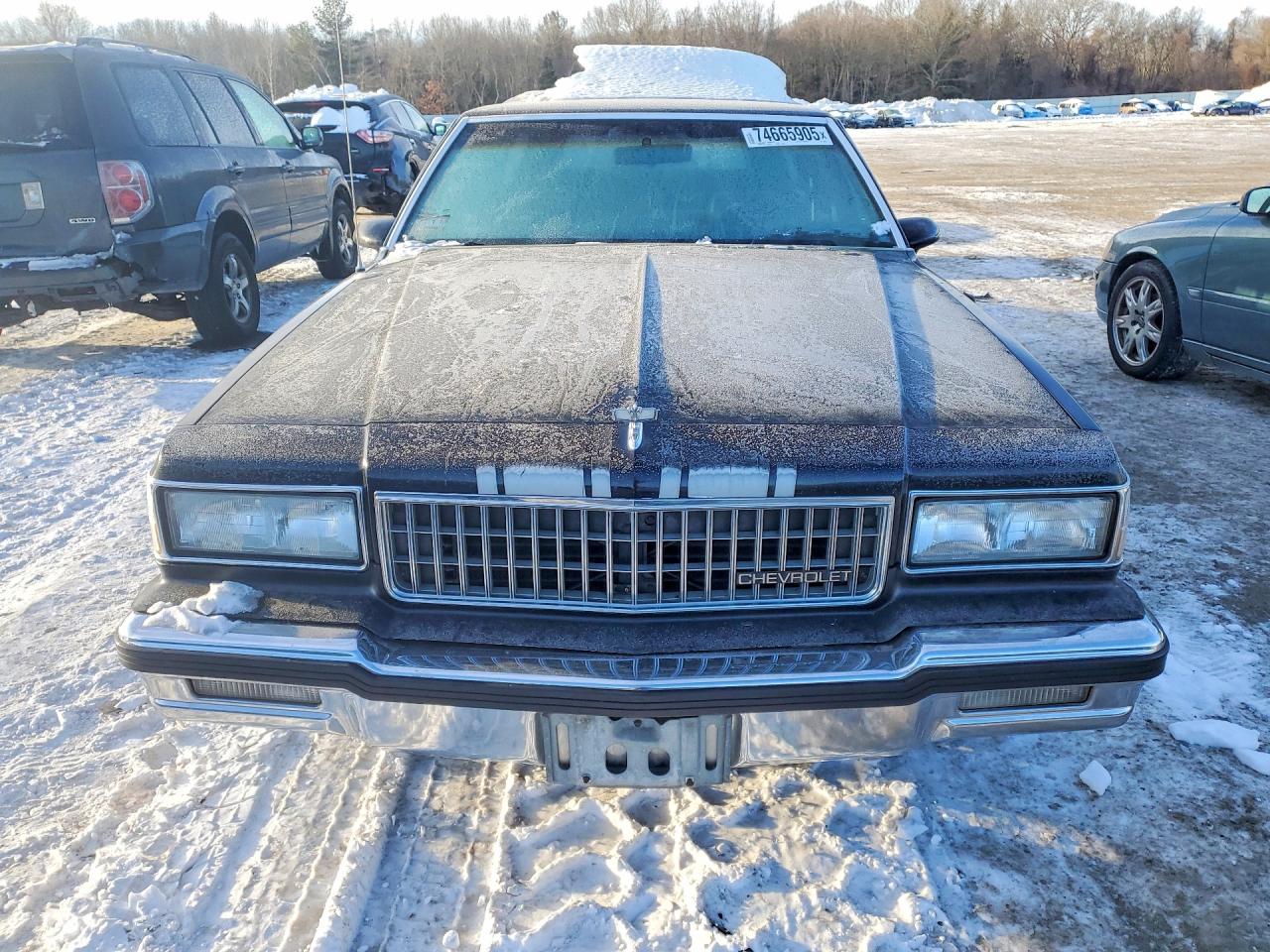 1988 Chevrolet Caprice Classic Black vin: 1G1BN81Y9JR181506