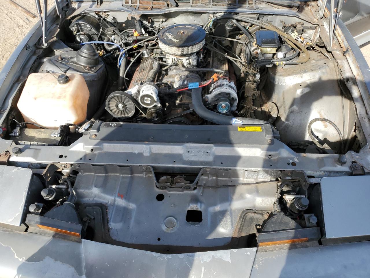 1989 Pontiac Firebird Trans Am Gray vin: 1G2FW21E0KL254344
