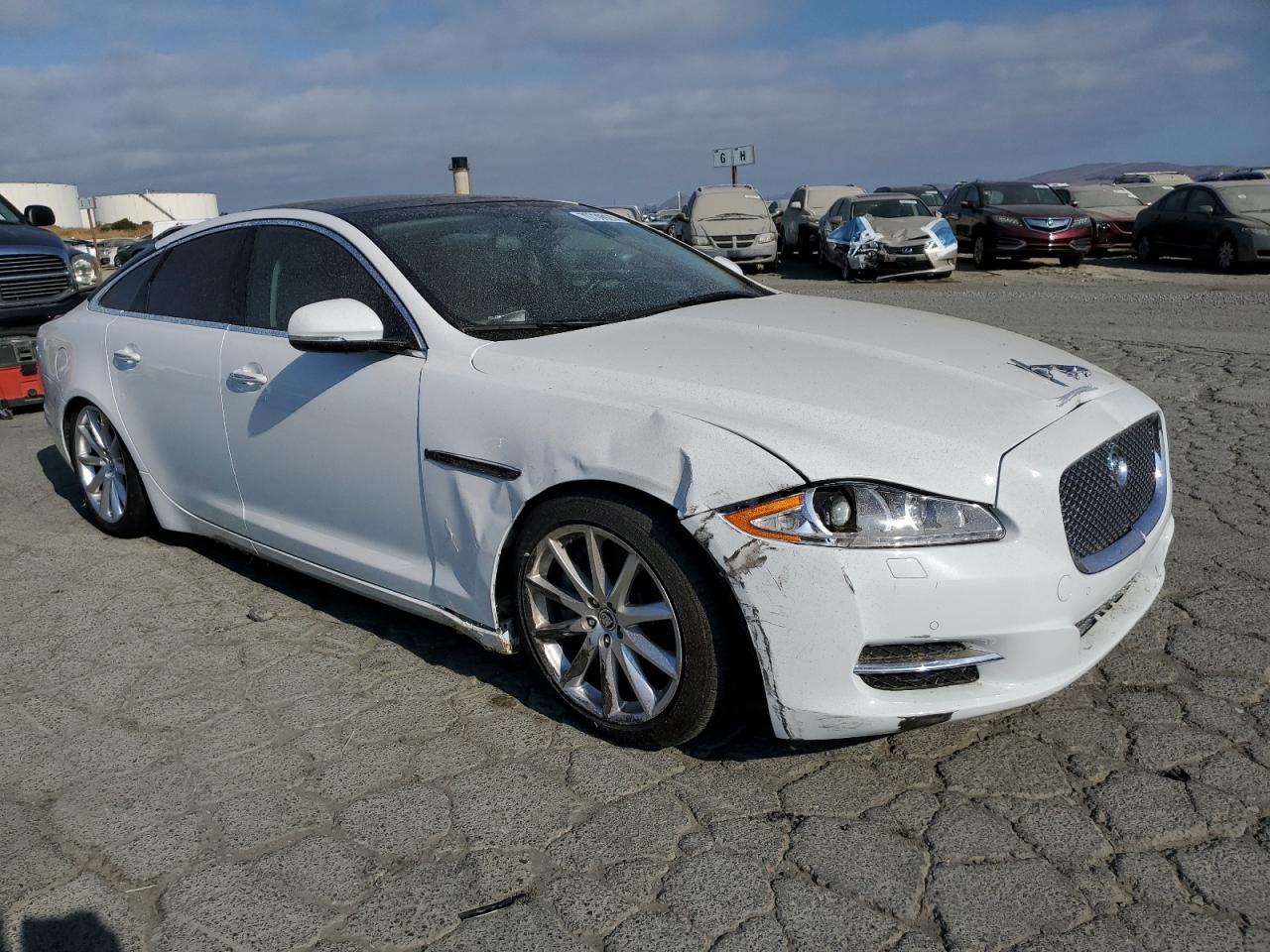 2013 Jaguar Xj White vin: SAJWA1C75D8V55556