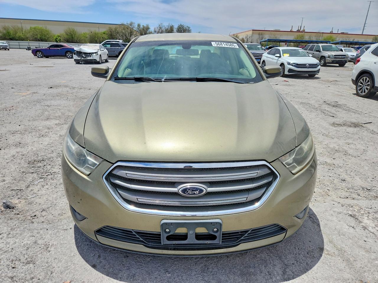 2013 Ford Taurus Sel Золотой vin: 1FAHP2E89DG235895