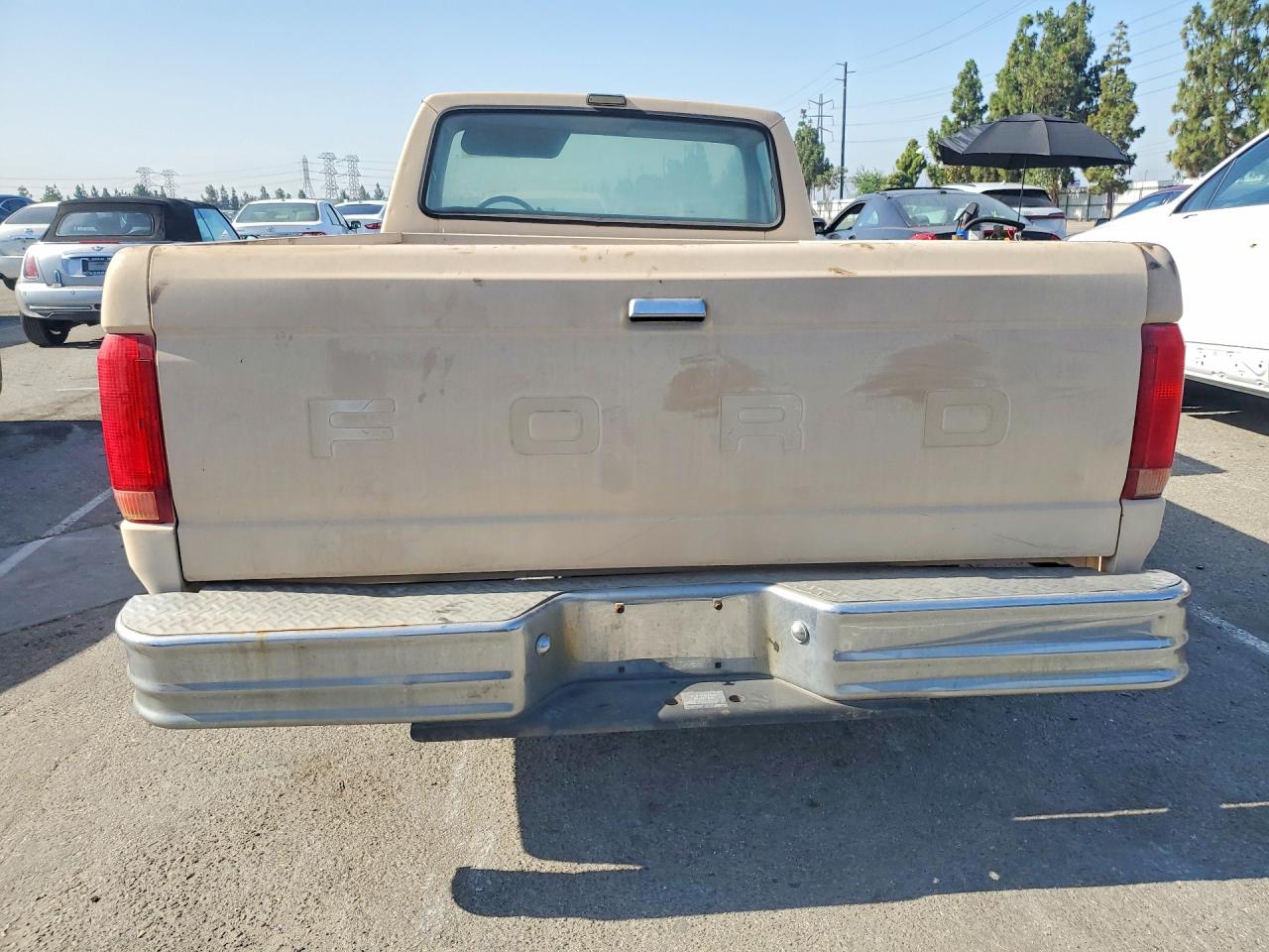 1991 Ford F150 Tan vin: 1FTEF15N8MLA03456