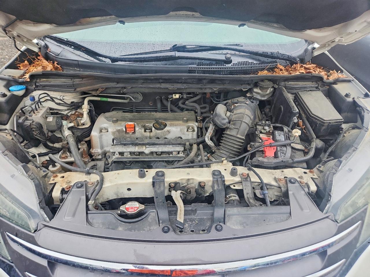 2014 Honda Cr-v Exl Белый vin: 5J6RM4H77EL084953