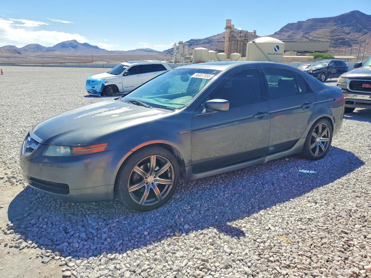 2004 Acura Tl Gray vin: 19UUA66274A059154