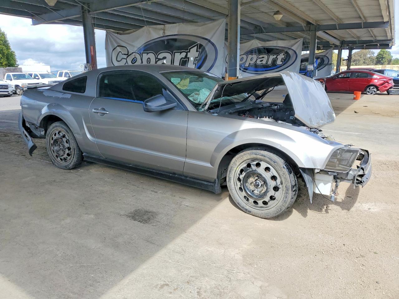 2008 Ford Mustang Gray vin: 1ZVHT80N785163342