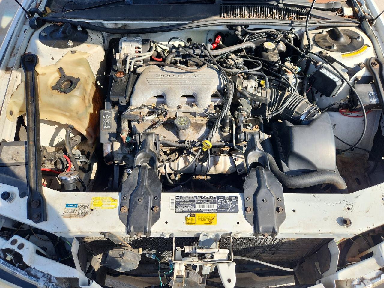 1995 Buick Regal Custom White vin: 2G4WB52M5S1429266