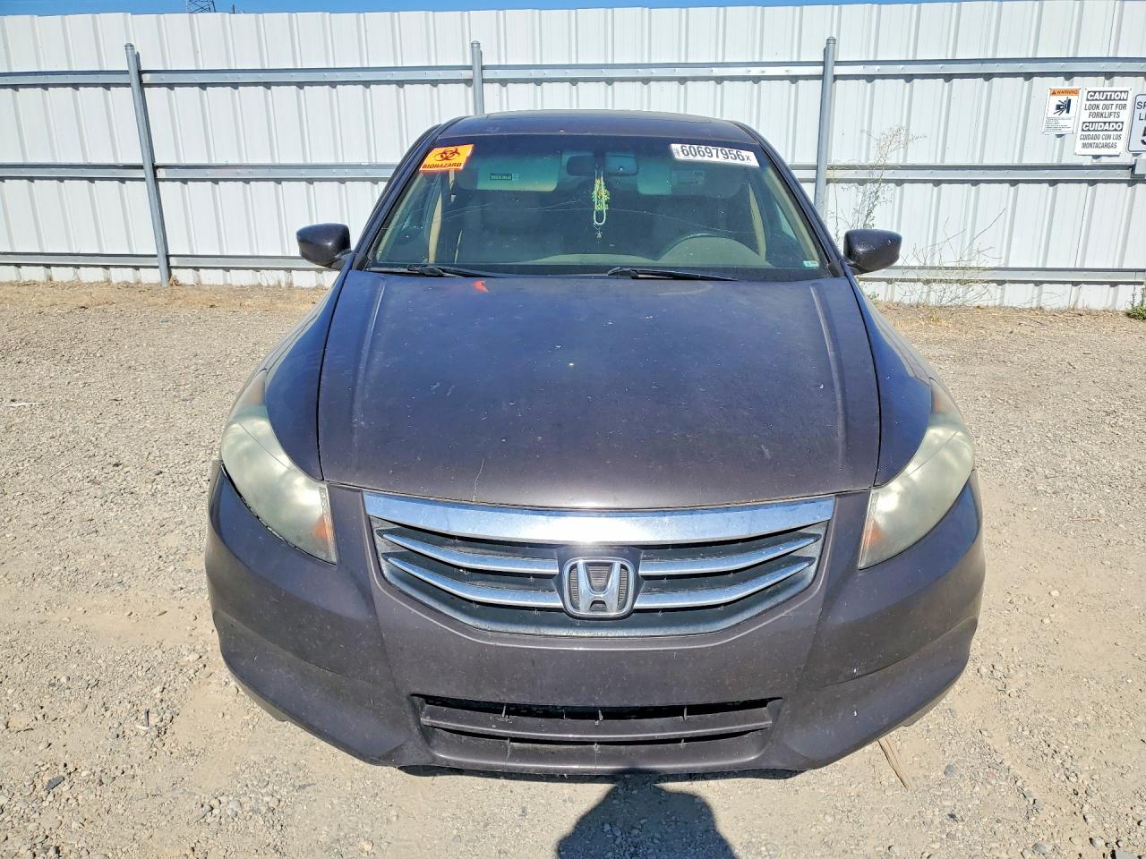 2011 Honda Accord Exl Gray vin: 1HGCP2F85BA088222