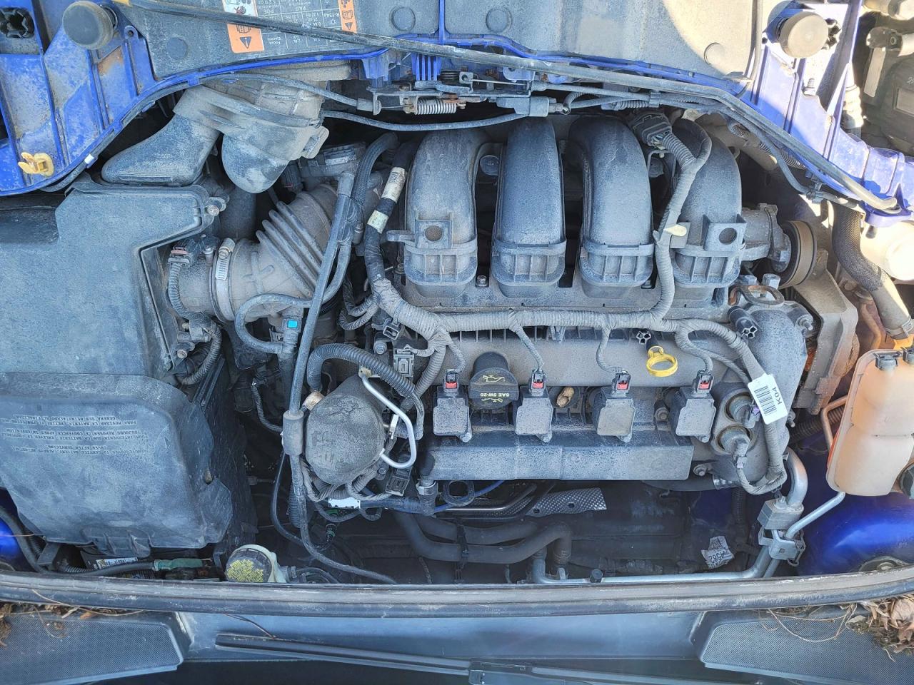 2014 Ford Focus Se Blue vin: 1FADP3K21EL358541
