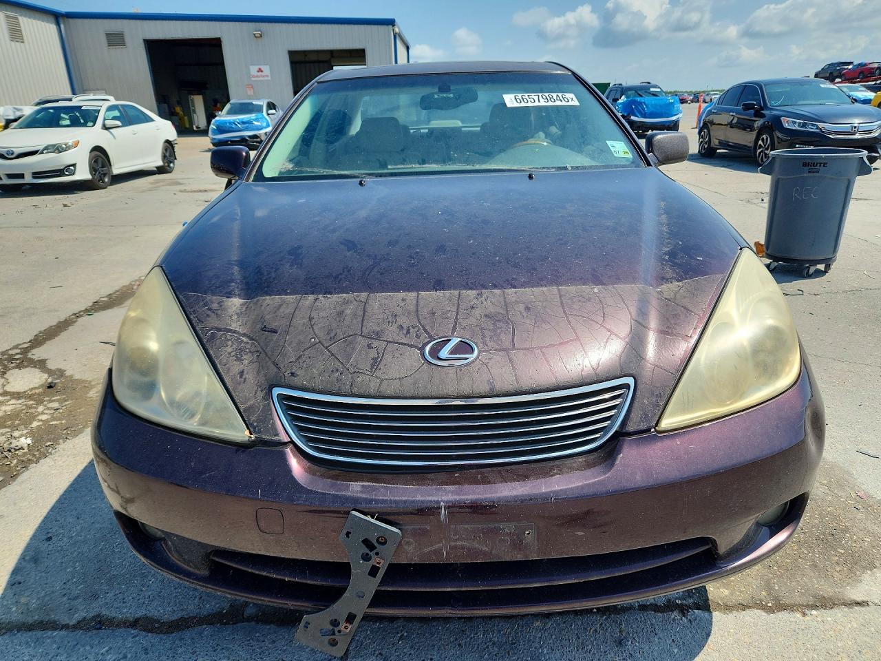 2005 Lexus Es 330 Purple vin: JTHBA30G655115196