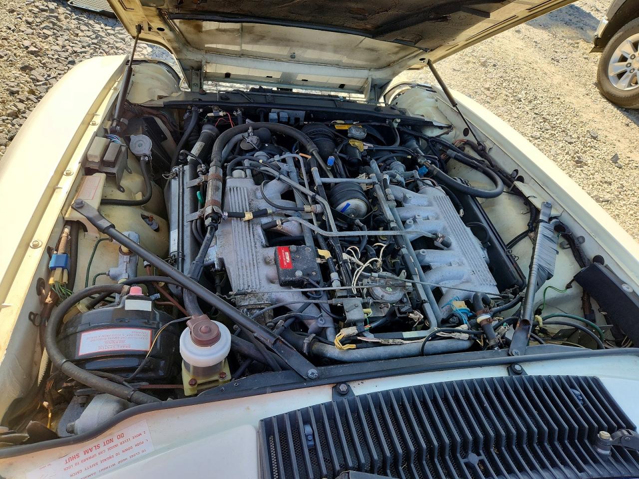 1988 Jaguar Xjs White vin: SAJNV5846JC144813