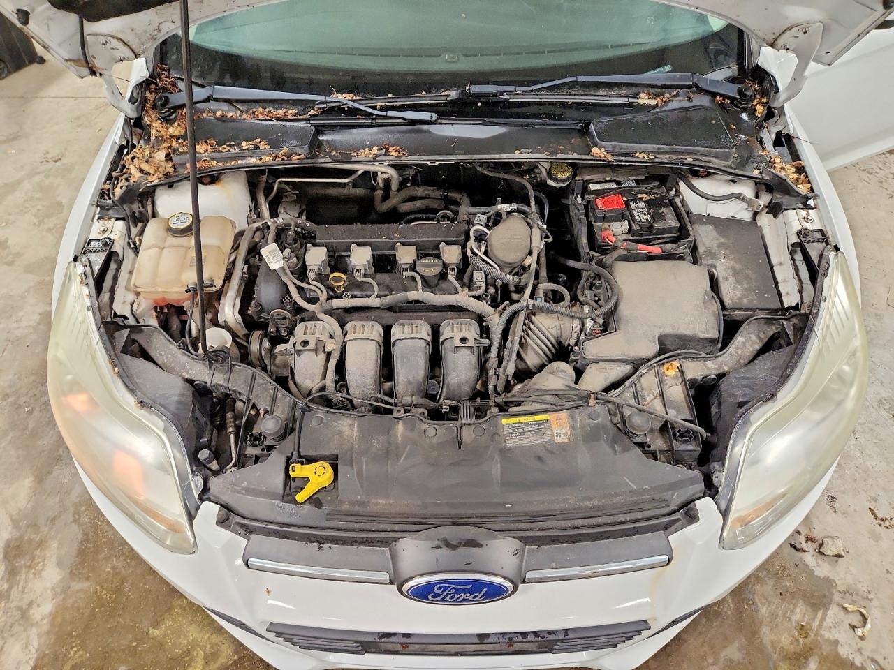 2012 Ford Focus Se Белый vin: 1FAHP3K24CL258660