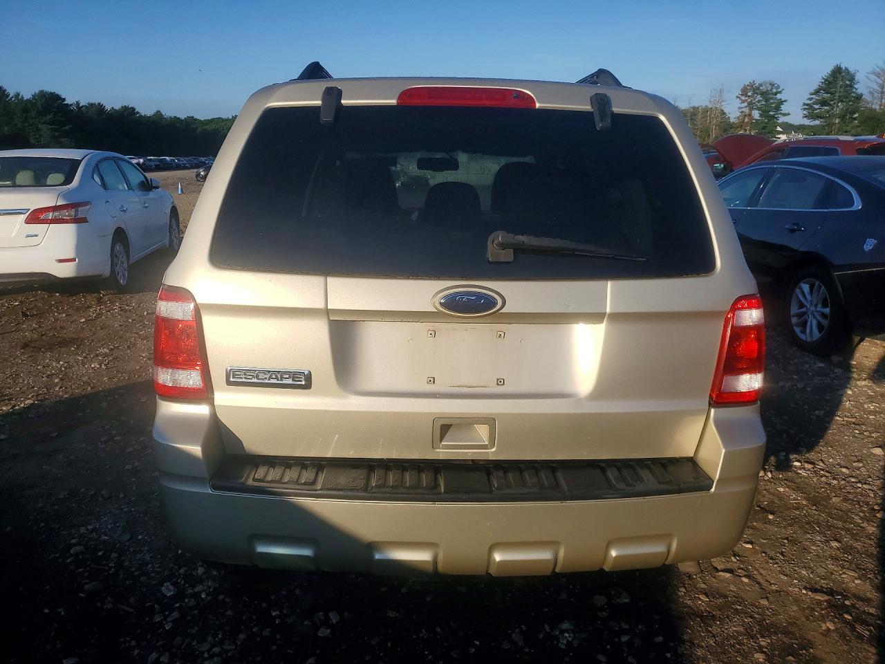 2010 Ford Escape Xlt Beige vin: 1FMCU0D72AKA54491