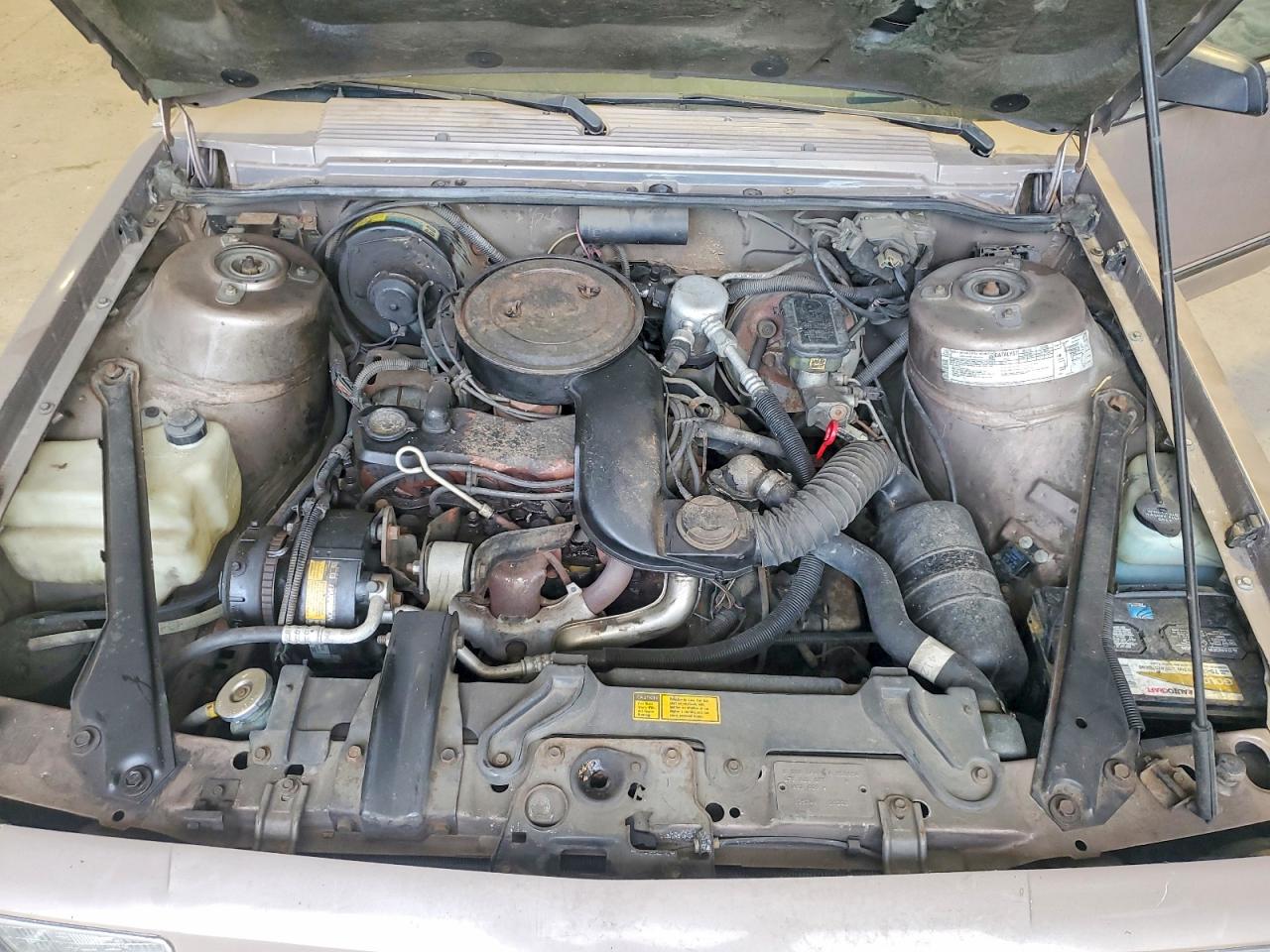 1983 Chevrolet Celebrity Желто-коричневый vin: 1G1AW19R6D6853654