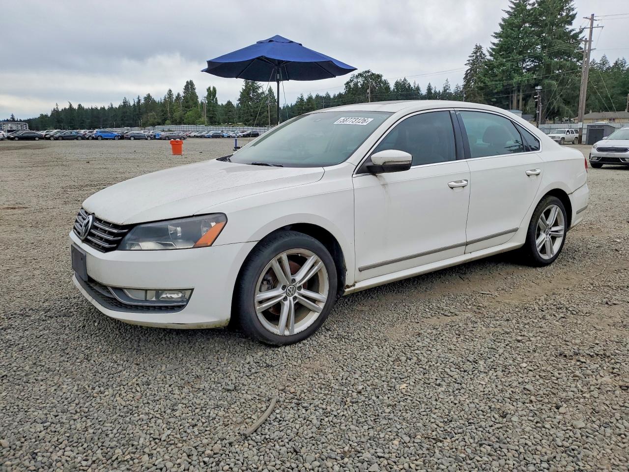2014 Volkswagen Passat Sel White vin: 1VWCN7A3XEC013387