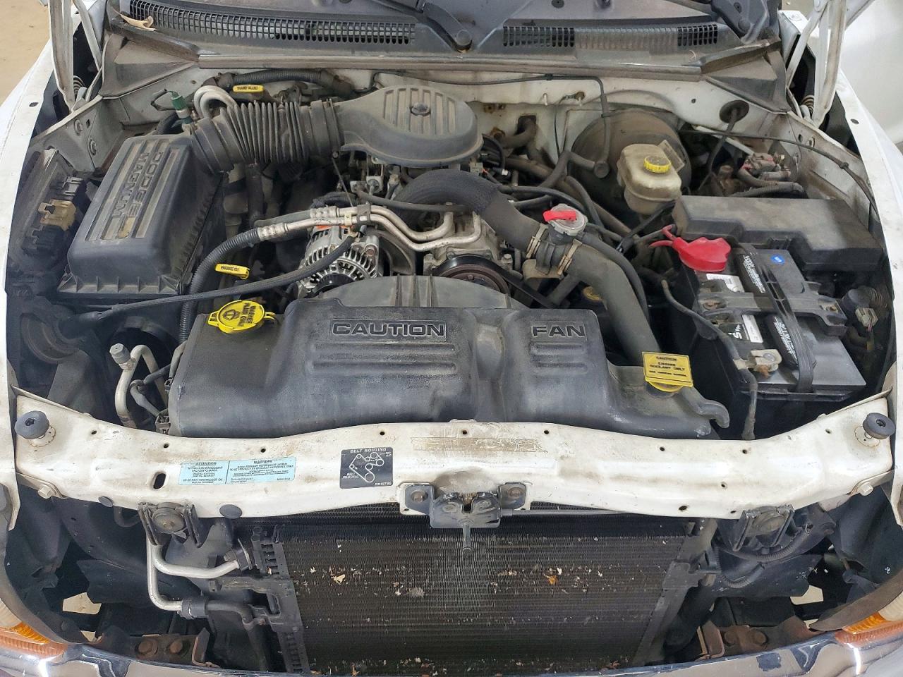 2001 Dodge Dakota White vin: 1B7GL22X51S171487