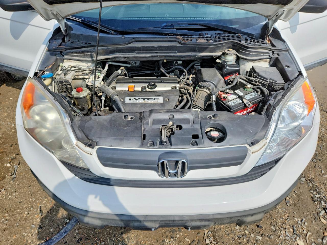 2007 Honda Cr-v Lx Белый vin: JHLRE38387C023062