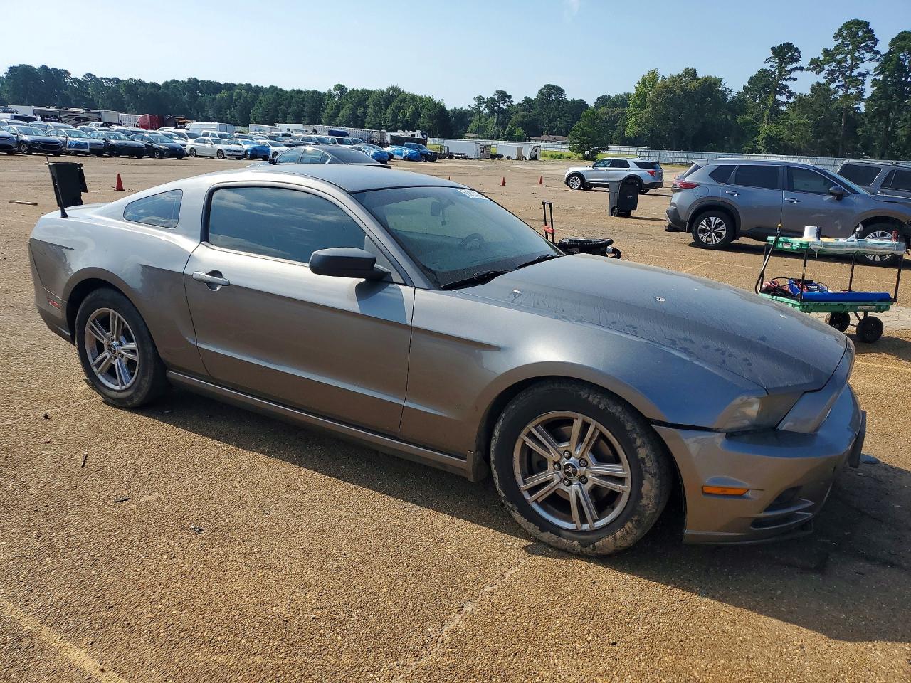 2014 Ford Mustang Gray vin: 1ZVBP8AM8E5316743