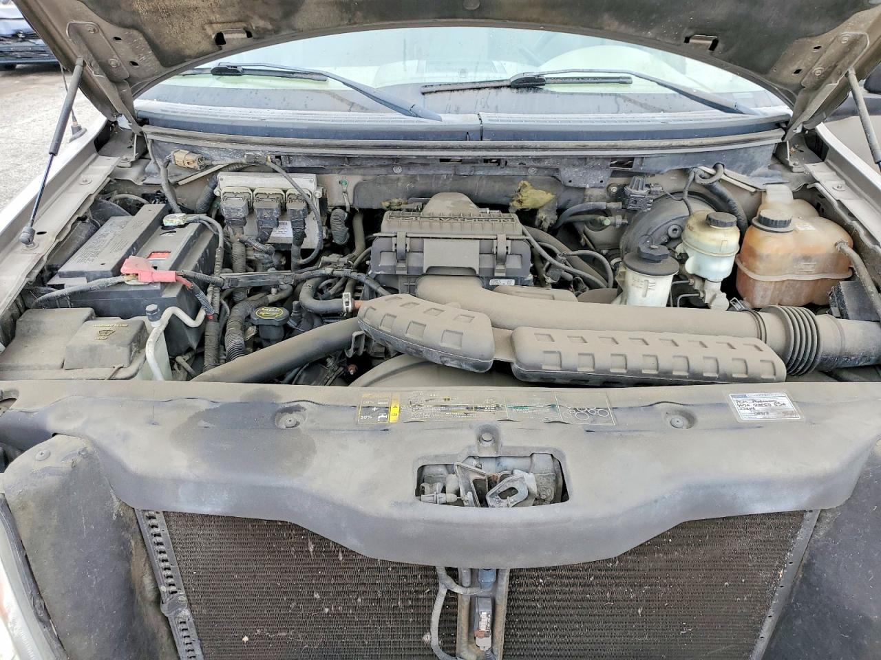 2004 Ford F150 Tan vin: 1FTRF14544NB71313