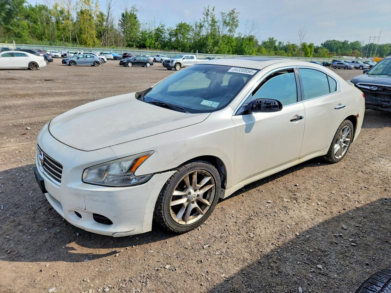 2009 Nissan Maxima 3.5 S White vin: 1N4AA51E29C829954
